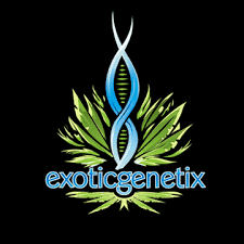 Exotic Genetix