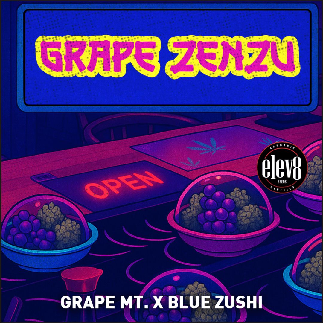 GRAPE ZENZU 🍇🍭🫐