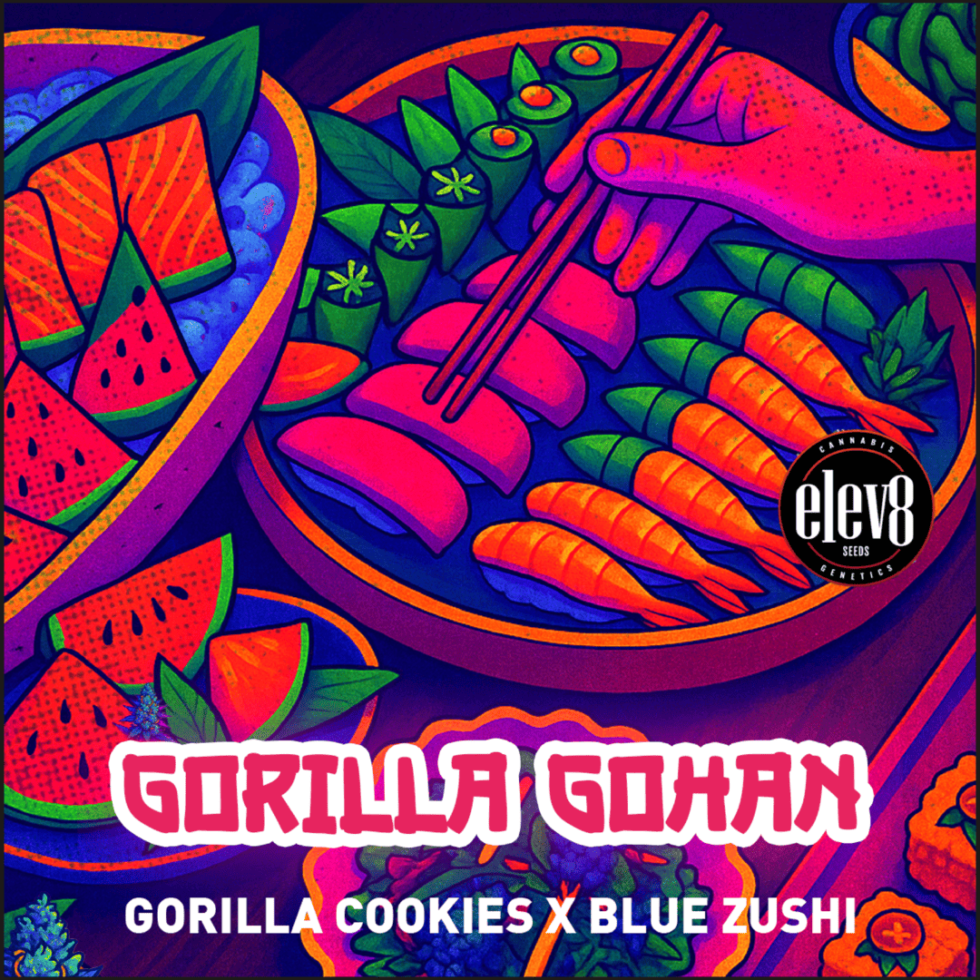 GORILLA GOHAN 🍭🍪⛽️