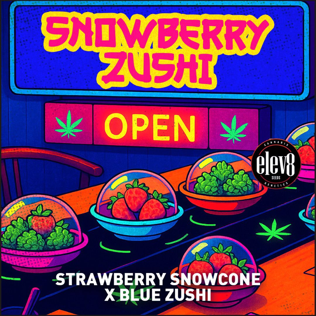 SNOWBERRY ZUSHI 🍓🍧⛽️