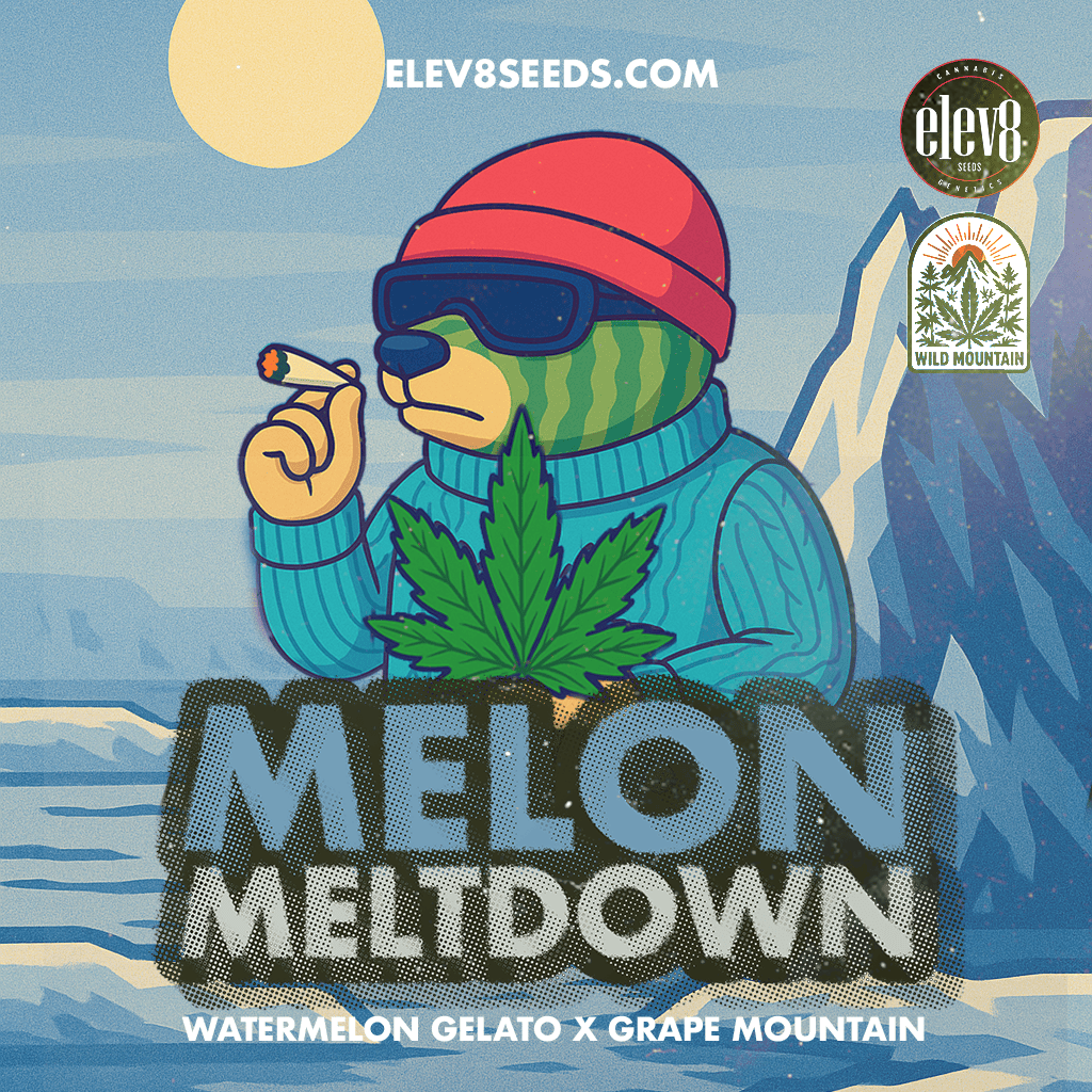 Melón meltdown 🍉🍭🍊