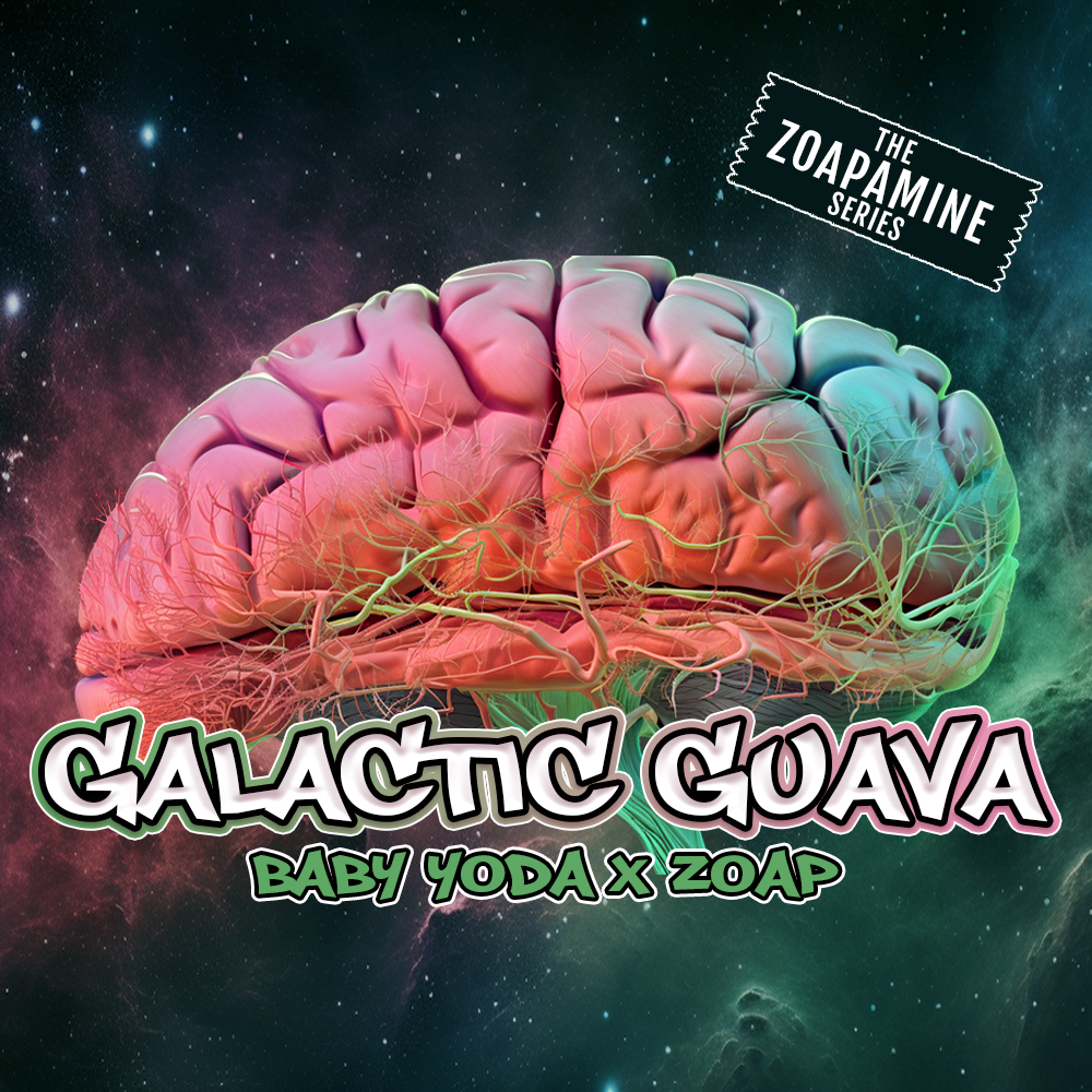 GALÁCTIC GUAVA 🍈🥭🍭