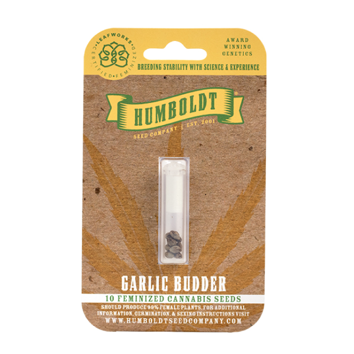 GARLIC BUDDER 🧄🧈⛽️