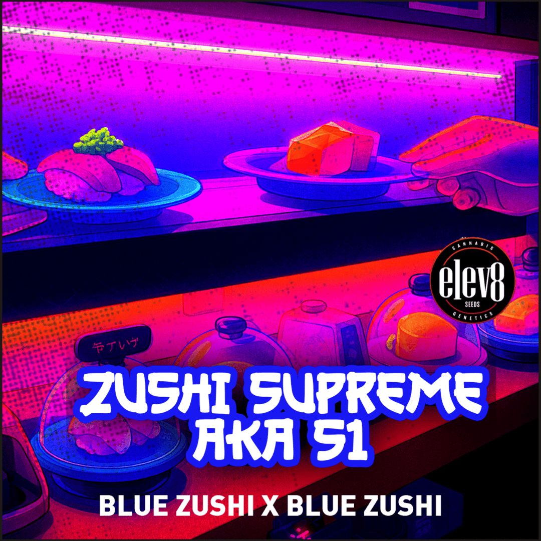 BLUE ZUSHI S1 🫐🍨🍭⛽️